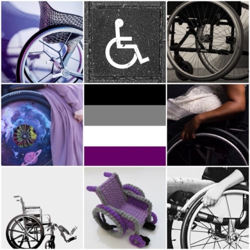 queerplatonicpositivity:queer-positive:ace and wheelchairs[ ID: A mood board with the asexual flag i