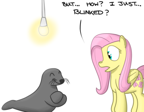 hoofclid:The other 18.5 seals are offscreen I guess? x3