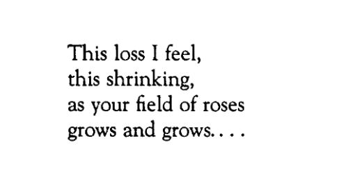 Naomi Shihab Nye, from Red Suitcase: Poems; “What Is Supposed to Happen,”