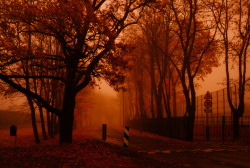 autumncozy:Foggy Alley by Jorma 