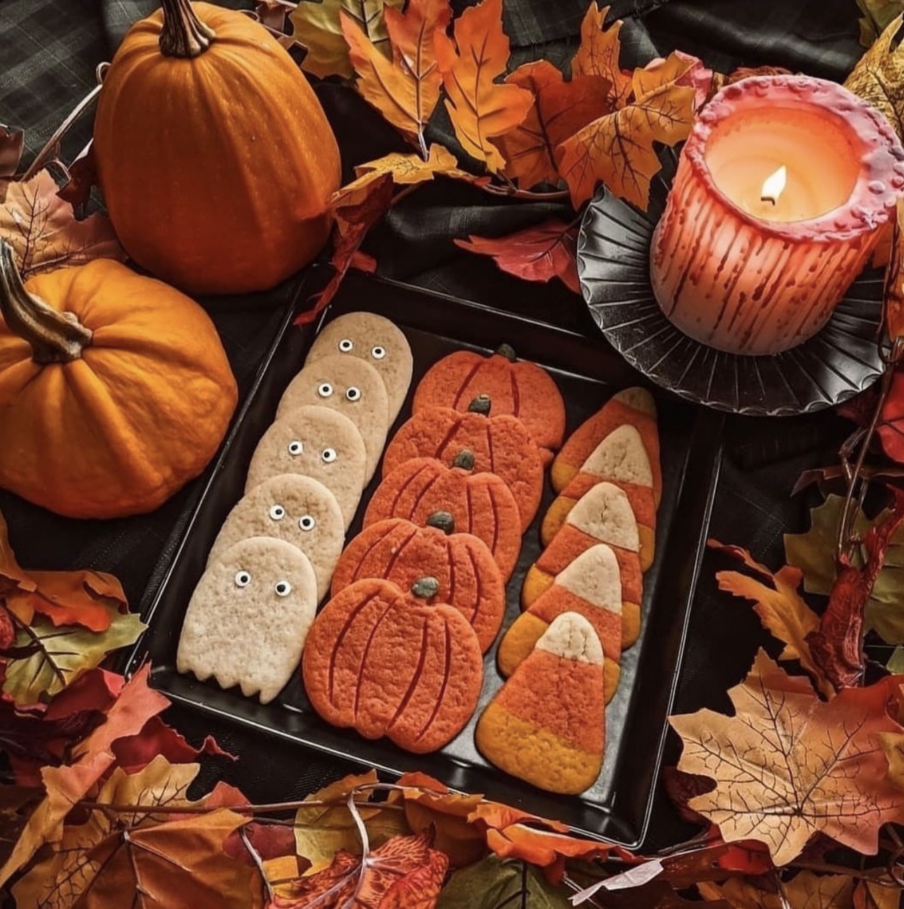 autumn-dreamin:🍁 autumn-dreamin 🍁