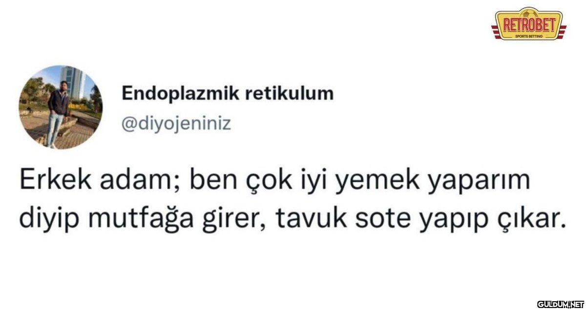 Endoplazmik retikulum...