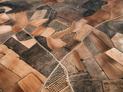 escapekit:The Spanish Farmland SeriesDue to permanent dry climatic conditions, a unique form of agri