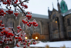 everything-celtic:  Ice Storm Day 2, Trinity College (by Howard Yang) 