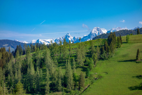 Mountain Summer by Bernd Kranabetter