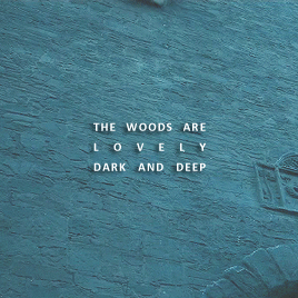 queenstarks: Stopping by Woods on a Snowy Evening » Robert Frost