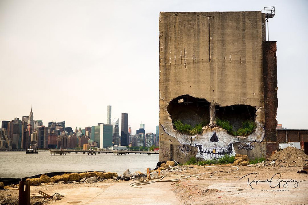 88floors:Skull by Suitswon