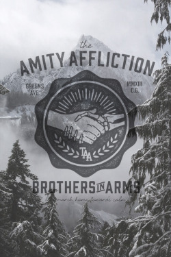 bvrkee:  The Amity Affliction not my photo