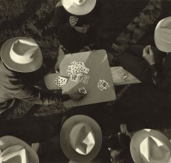 tacomablue:Card players, Los Angeles, California