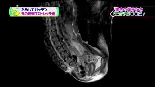 navy-he:  @440hz_A: エロすぎ大問題 http://t.co/Ds2Sk9mtkh