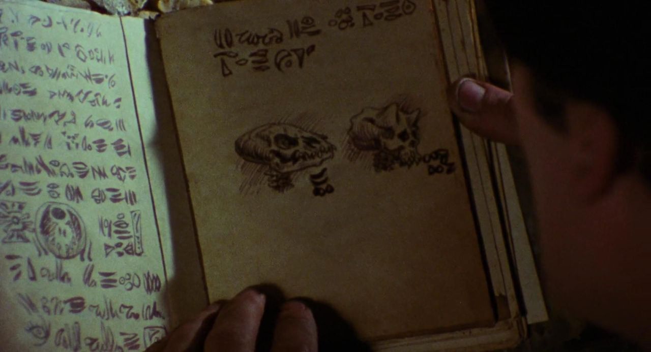 vixensandmonsters:  The Evil Dead (1981) dir. Sam Raimi