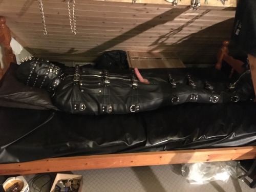 jamesbondagesx:  Gimp in full rubber, rubber hood, leather gimp hood, leather sleepsack roped up tight and milked 