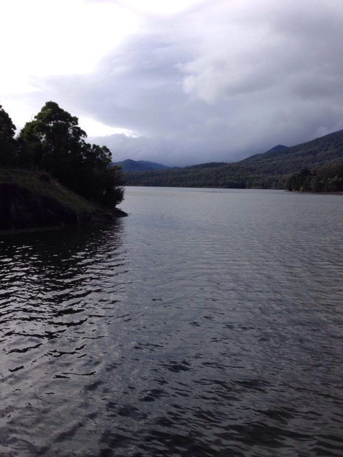 absinthius: Maroondah Reservoir Park, Victoria, AustraliaPhotographed by absinthius 1 August 2014