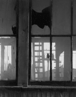 onlyoldphotography:  Ansel Adams: Window,