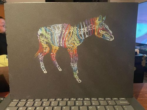 Almost done with my #rainbow #zebra #skeleton #drawing. . . #anatomy #anatomical #wip #workinprogr