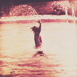 swoggy-blog:   harry’s prettiest picturestagram  