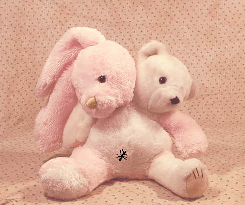 honeylambs:custom bunny/bear conjoined twins ♡