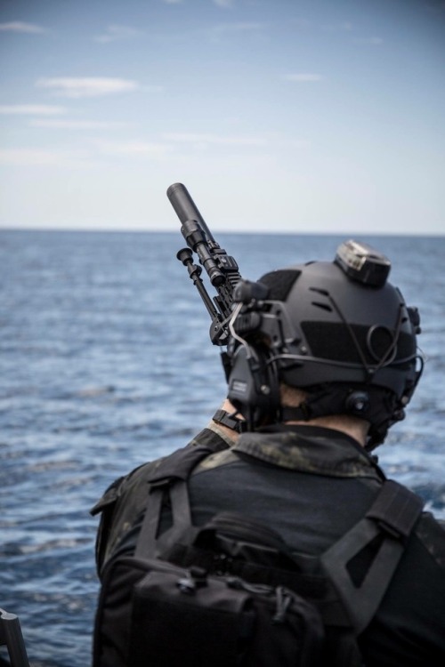 bubbalicious28:<b>SureFire