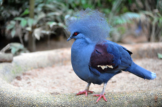 theburrit0punx:  ven0m0th:  revawo:  ohthisismuchworse:  fuckingconversations:  xeppeli: