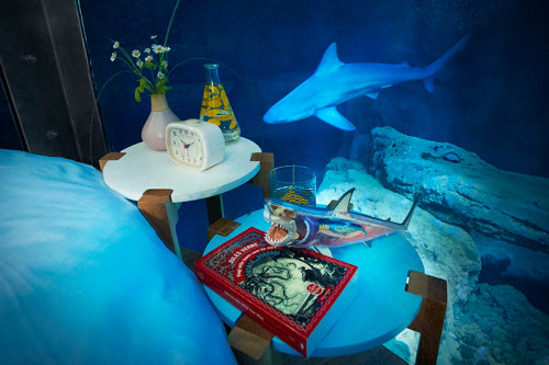 laqueus: cynicalpie: archatlas: Underwater Shark Suite Would you sleep in this shark suite? French d