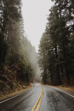 moody-nature:  Untitled | By Dan Otis 