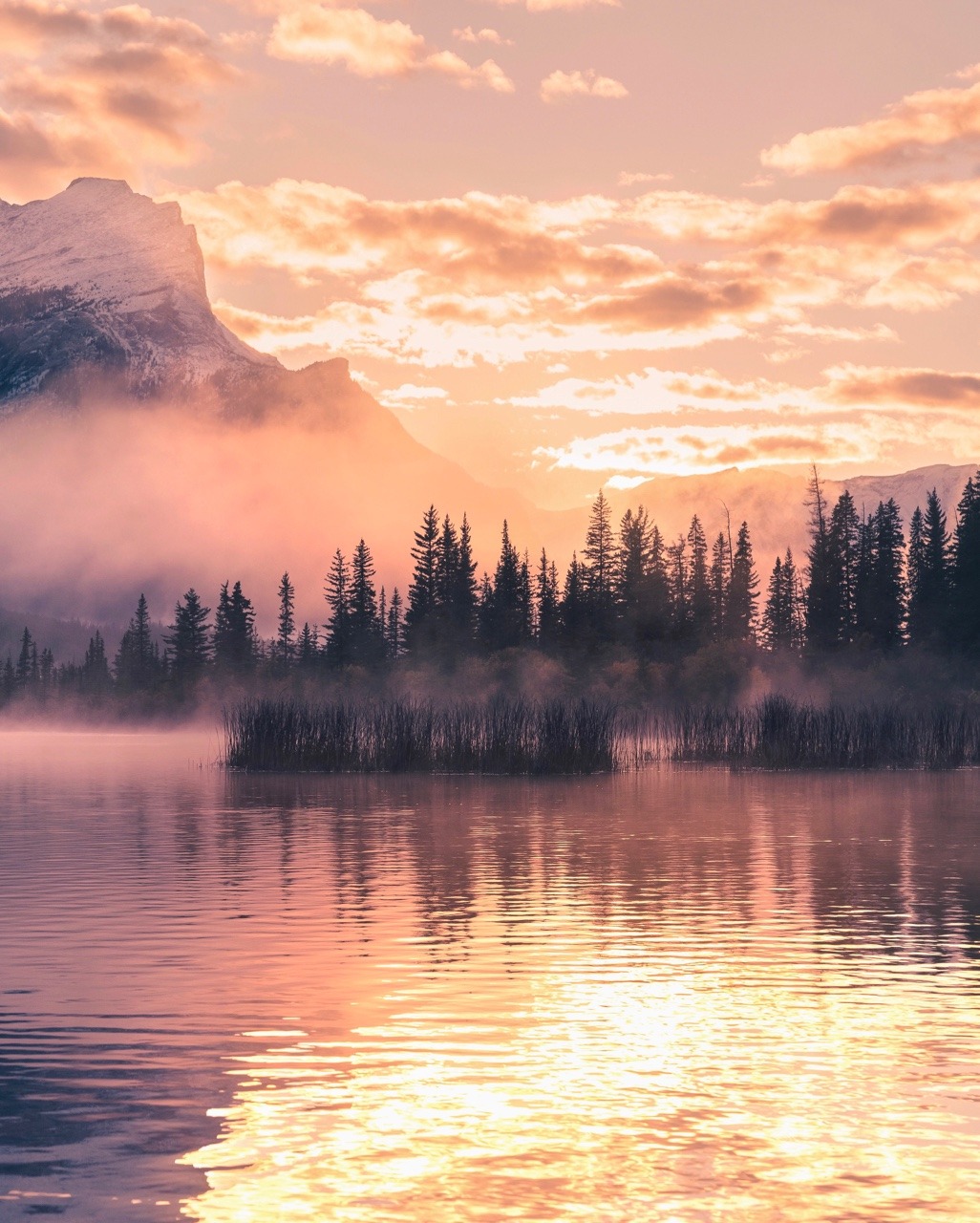 erubes1:Golden mornings in Canada  Come say hi 👉🏻 www.instagram.com/erubes1