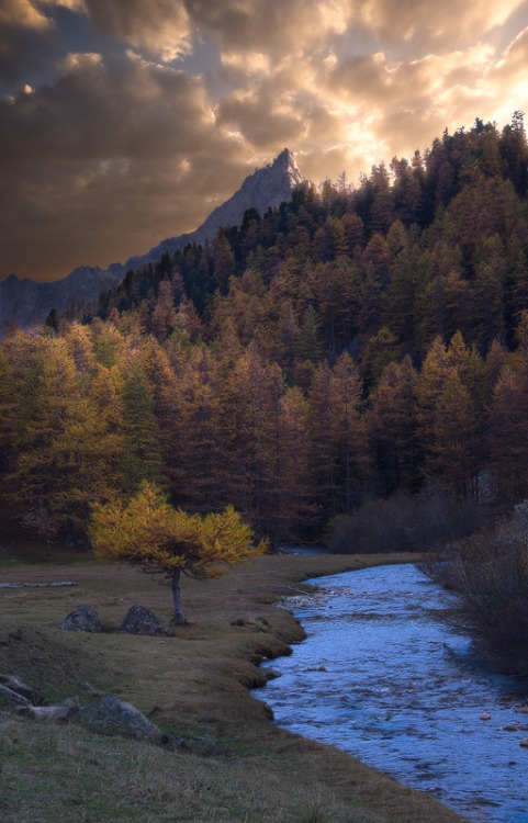 americana-plus:    A Devilish Encounter | by alexandreehrhard | http://ift.tt/10JJ31V  