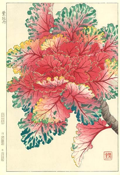 japanese-plants:Ornamental cabbage by Shodo Kawarazaki 河原崎奨堂 (1889-1973)