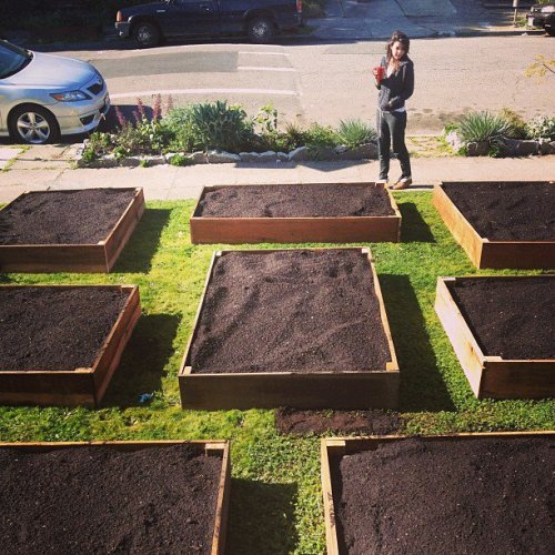 priceofliberty:  Man replaces lawn with vegetable garden, holds no regrets During the summer, nothing is better than the smell of freshly cut grass. That is, unless, you have a giant vegetable garden growing in the place of your lawn. Instead of turf,