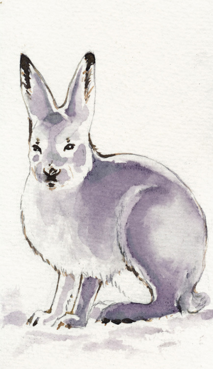 corrinaulrich:Critters painted with homemade paints