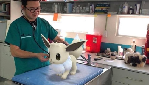 retrogamingblog2:A veterinary hospital in Mexico used Pokemon Go’s snapshot feature to turn their of