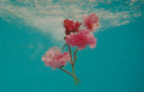 miriam-marlene-waldner - UNDERWATER - 2014by Miriam Marlene...