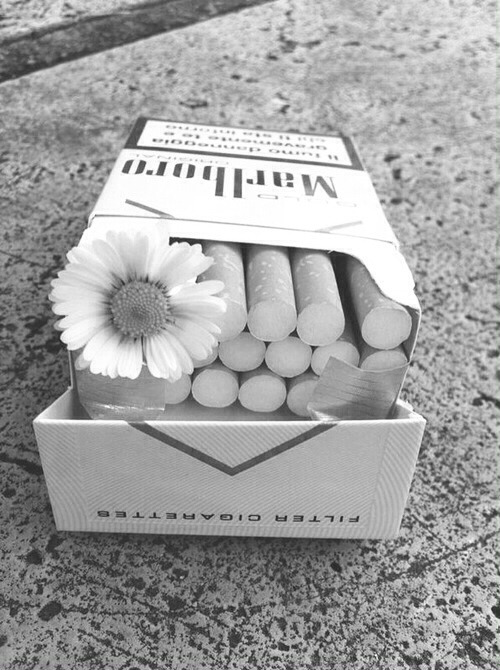 e-s–c-a–p-e:  ugh-no-one-cares:  x   B&W