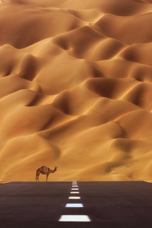 ponderation:THE ROAD TO THE Empty Quarter by bohindi