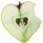 nadazda