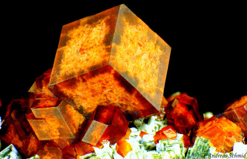 Porn Pics ifuckingloveminerals:  Andradite, HedenbergiteAvissalos,