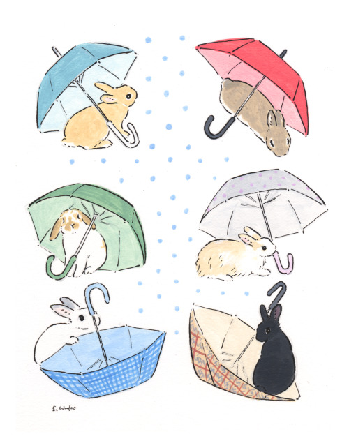 schinako:Rabbits and umbrellas