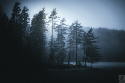 The Foggy Lakes Vol.3early morning by one of the lakes here in the neighborhood.One of my lake 