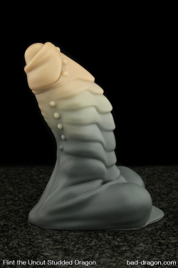 mwmdom:  vixxydicks:  “Knock knock! Who’s that at the door? It’s our Package Wrangler, Flint, and he has something for you… We’re proud to release our first Staff Pick from Bad Dragon Labs: Flint, the Uncut Studded Draconic! Designed by Turbine,