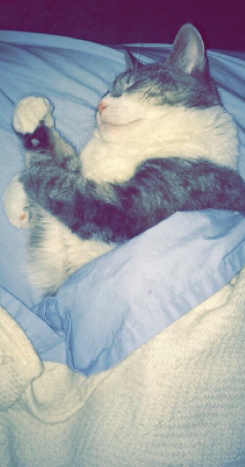 cute-overload:  My baby. I have had her in my life since I was 3. I’m now 18 and