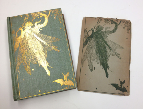 uispeccoll:  It is time to continue our mini-series of Andrew Lang fairy books! This post will be featuring three of these beauties: The Olive Fairy Book, The Green Fairy Book, and The Yellow Fairy Book. First up is my personal favorite, The Olive Fairy