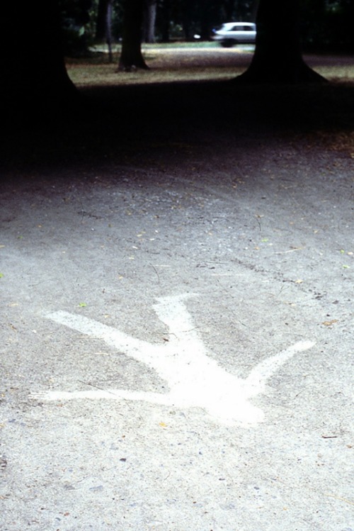 myheartisasquare:pleoros:Andy Goldsworthy - Lay Down as it Started Raining or Snowing Waited Until t