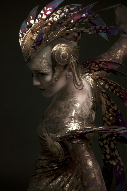 ghoulnextdoor:Firebird  - Works - Rob Goodwin Headpieces and other costume accessories designed by