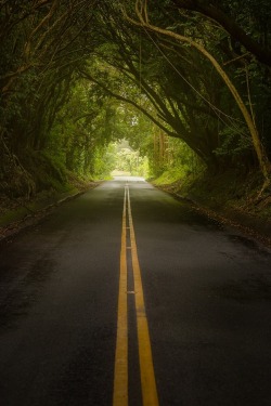 sublim-ature:O’ahu, Hawai’iToby Harriman