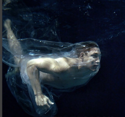 bloghqualls:  Paul Freeman Photography: Geoffrey Andrew Huegill i , Olympic swimmer.