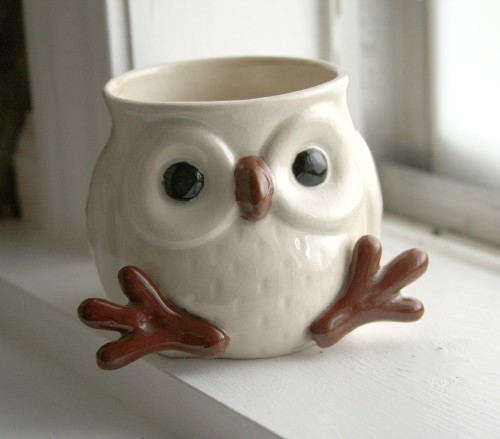 franny-dick: Owl Mugs