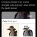 memewhore: