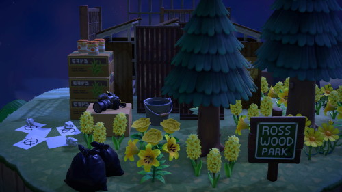 I don’t know if I mentioned it but I finished making Rosswood Park in Animal Crossing a little while