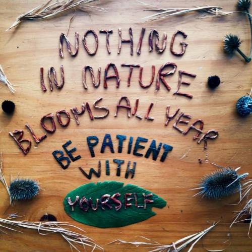 permaculturerainbows: To grow into your best self visit www.jungle2jungle.org/ Love your