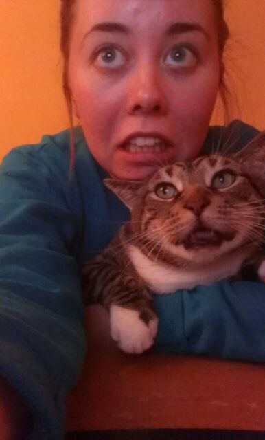 thecatsmeow90:  Working on my paper is hard on both of us. 
